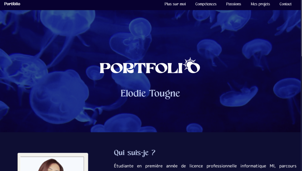 Capture d'écran de l'écran d'accueil du site portfolio de Élodie TOUGNE 