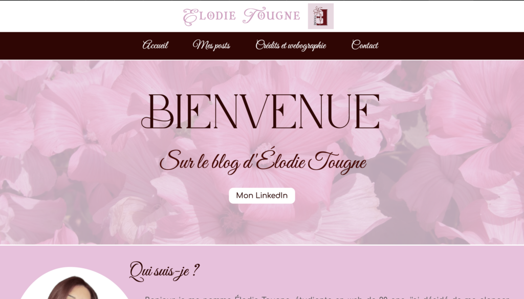Capture d'écran de l'accueil du portfolio codé en Html css par Élodie TOUGNE